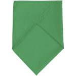 Шейный платок Bandana, ярко-зеленый — изображение 2