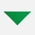 Шейный платок Bandana, ярко-зеленый — изображение 3