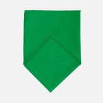 ярко-зеленый