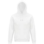 Толстовка унисекс Stellar