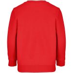 Свитшот детский Columbia Kids, красный — изображение 3