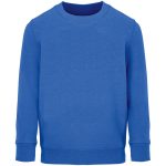 Свитшот детский Columbia Kids, ярко-синий (royal)