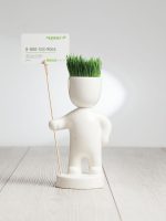 Набор для выращивания Funky Headman — изображение 5