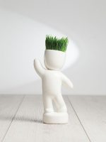 Набор для выращивания Funky Buddy — изображение 5