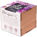 Набор для выращивания «Экокуб Lite», сирень — изображение 4