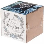 Набор для выращивания «Экокуб Lite», ель голубая — изображение 7