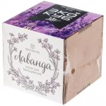 Набор для выращивания «Экокуб Lite», лаванда — изображение 3