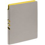 Набор Flexpen, серебристо-желтый — изображение 4