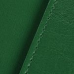 Обложка для паспорта Nebraska, зеленая — изображение 6