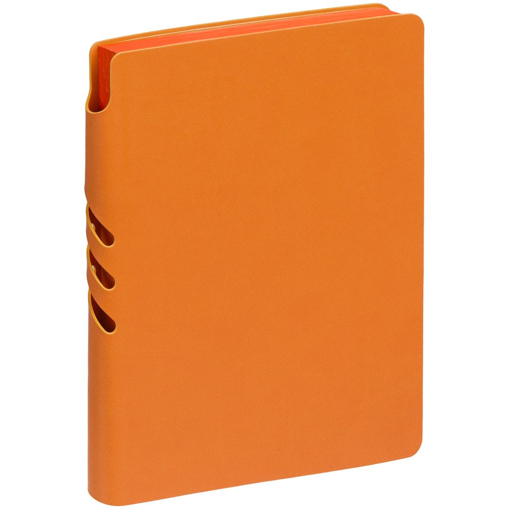 Ежедневник Flexpen Color