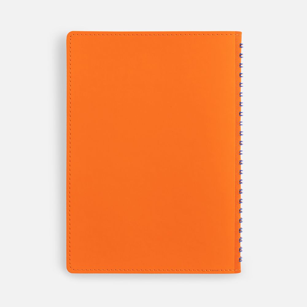 15215.20_14_1000x1000 Ежедневник Spring Shall, недатированный, оранжевый — изображение 5