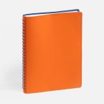 Ежедневник Spring Shall