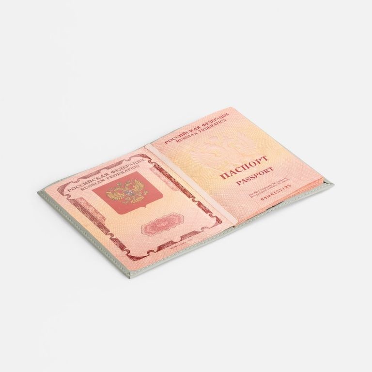 Обложка для паспорта Shall, ver. 2, серая — изображение 4