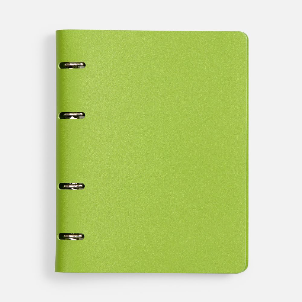 22091.90_3_1000x1000 Ежедневник Ringo