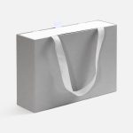 Коробка Regalis