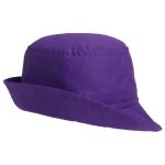 фиолетовая