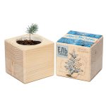 Набор для выращивания «Экокуб», ель голубая — изображение 3