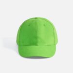 зеленое яблоко