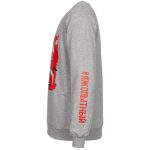 Толстовка «Яжопытный», серый меланж — изображение 3