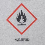 Футболка «Жар-птица», серый меланж — изображение 3