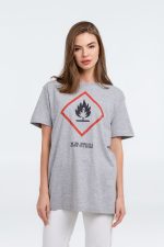 Футболка «Жар-птица», серый меланж — изображение 4