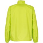 зеленое яблоко