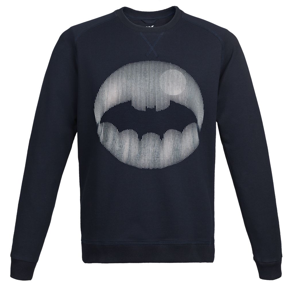 71939.40_1_1000x1000 Свитшот мужской Letucci Silver