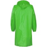 зеленое яблоко