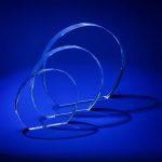 Награда Lentil, малая — изображение 3