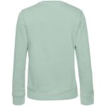 серо-зеленый