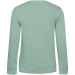 серо-зеленый