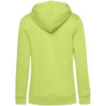 зеленое яблоко